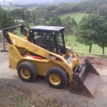 bobcat